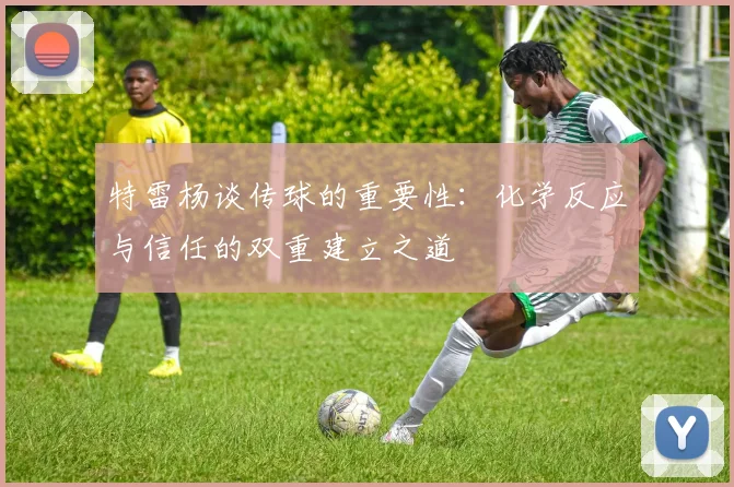 特雷杨谈传球的重要性：化学反应与信任的双重建立之道