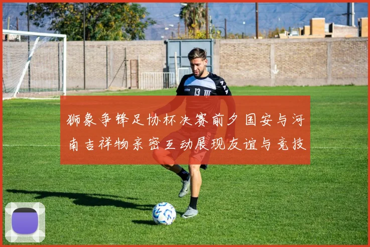 狮象争锋足协杯决赛前夕国安与河南吉祥物亲密互动展现友谊与竞技精神