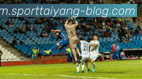 太阳城平台生态图